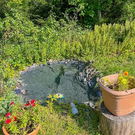 A Cozy House Close To Nature